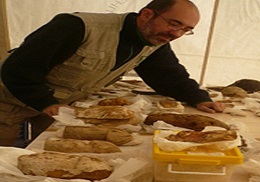 Últims descobriments a les zones de les piràmides.